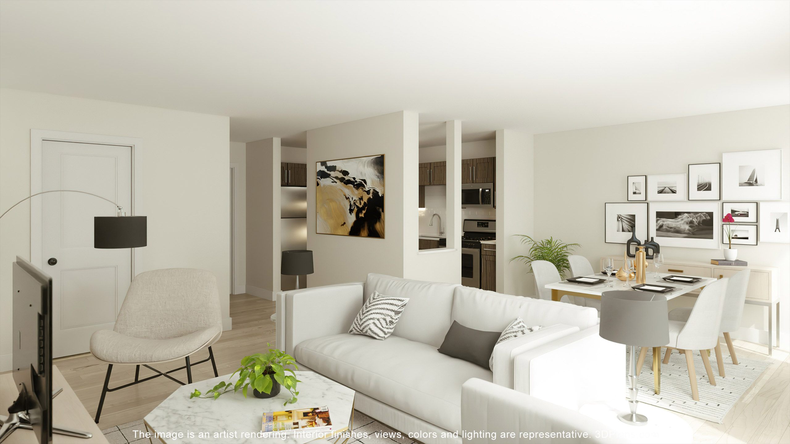 apartment theater area